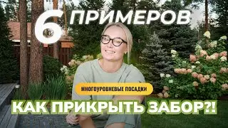 Как прикрыть забор?! Изгороди и многоуровневые посадки.