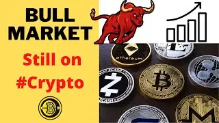 Crypto Bull Market is Not Over Yet (Hindi) | Money-Swing.com