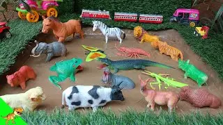 "Amazing Animal Rescue: Muddy Adventures with Bison, Deer, and More!"