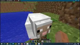 InfdevNetwork | Beta 1.7.3 Proxy testing | Failed test