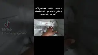por esto no enfría y no congela tu refrigerador #cool #refrigerador