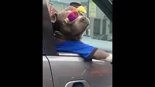 Ватцап