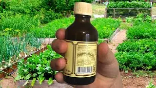 I spray everything in the garden with this, then only have time to harvest!