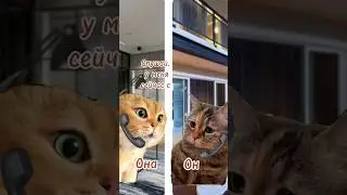 #отношениясмужчиной #юмор