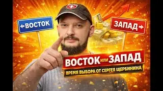 Инсайты от Сергея Щербинин
