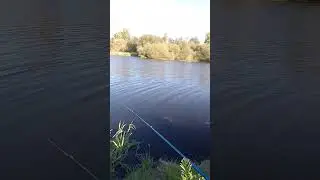 Вечерняя рыбалка