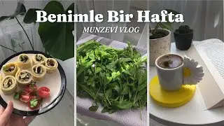 A Week With Me Vlog, Mushroom Pancake Recipe🧇, Mint Drying🌱 | Munzevi #Silent Vlog |