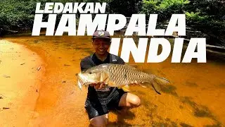 meledaks ! ada ikan besar dibawah kayu // casting hampala air hitam kalimantan