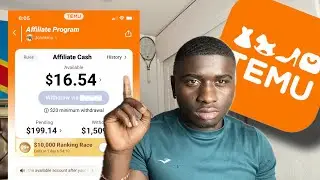 I made $16 on Temu affiliate program