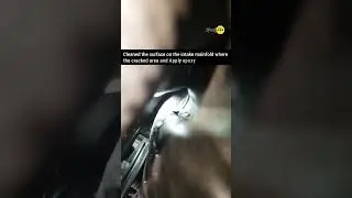 Toyota Vios 1.5L Vacuum leak detection using Fuel trim Data and smoke test.