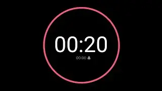 20 Second Countdown Timer / iPhone Timer Style