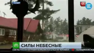 Силы небесные. Молния в Канаде разнесла дерево в щепки