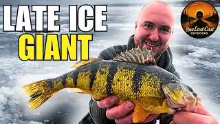 Nobody Was Catching Perch on Lake Simcoe... Then This Happened