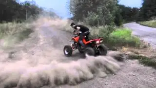 Квадро Цыпа / ATV Sport Irbis 250 / Bashan 250S