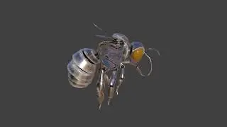 Bee Model