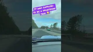 Charger SP vs Kia Stinger, it was supposed to be a sportsman tree!