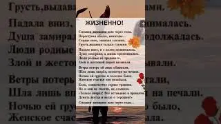 26 апреля 2024 г.