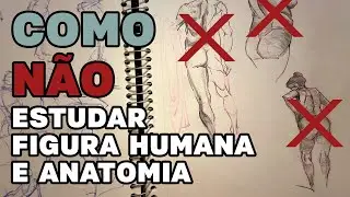 Figura Humana e Anatomia - Guia de Estudos para Character Design e Ilustração