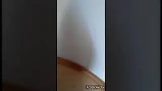 Рисунок из ракушек