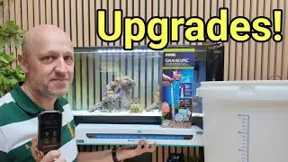 Which Upgrades Should You Buy and Which Should You Avoid? TMC First Wave 78L Beginner Nano Tank