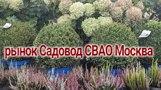 13 сентября 2024 г. Обзор садового центра