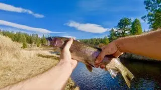 A Silent Fishing Trip in the High Desert