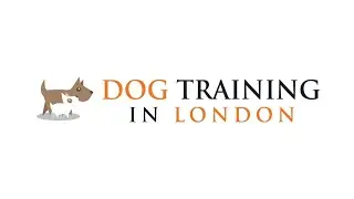 Dog Training in London - Behavioural and Puppy Consultations to help address any problem behaviour