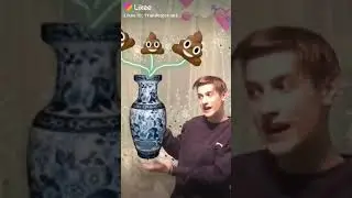 [Прикол] [цветы в унитазе г.вно в вазе]