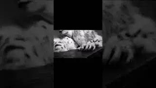 Валерия. Эксперименты с образом🖤