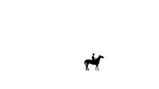 Final Animation Horse Loop