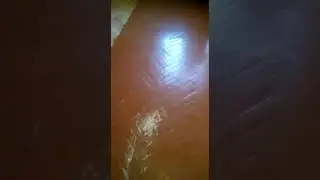 Снятие масляной краски с паркета