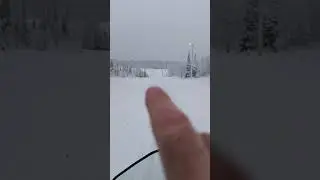 Суслик. 😂