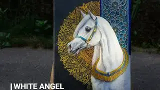 Arabian Horse painting WhiteAngel