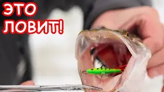 ЭТА ПРИМАНКА ЛОВИТ ЩУКУ. ЗИМНЯЯ РЫБАЛКА НА БАЛАНСИР 4K