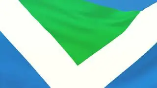 Short footage of the Vegan Flag - Free for any use