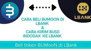 CARA BELI BUMOON (BUMN) DI LBANK & TRANSFER BUSD DARI INDODAX KE LBANK