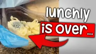 Lunchly Is Actually Inedible... (Drama)