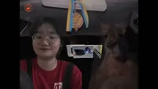 Chính sách giao hàng 