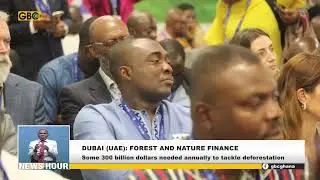 DUBAI (UAE): FOREST AND NATURE FINANCE