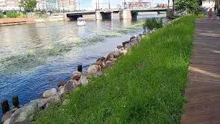 #Вид на "Рыбную деревню" с левого берега реки Преголя