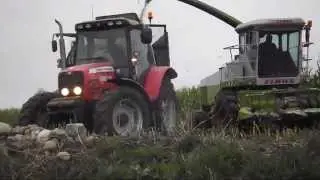 Akcja Kukurydza 2015-II-Deutz Fahr-Massey Ferguson-Ursus-Claas-II