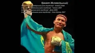 Әлем және олимпиада жүлделерін алған Қазақ және Қазақстандық боксшылар. 2-бөлім (2005-2017)