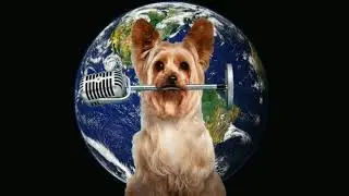 Tinny - One Pack - (Official Audio) - PUP STAR