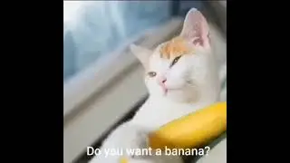 Do you see the banana man?