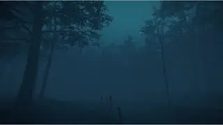 VRchat ASMR | a calm forest 1 Hour