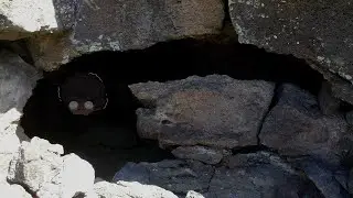 All these people unaliving and a mysterious cave? - SCP 1538
