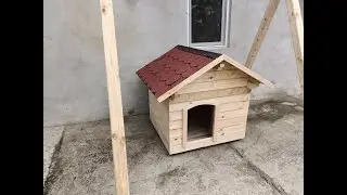 big dog house