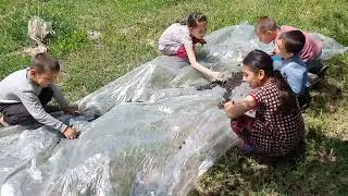 Тутхури дар Хисор - Детство в сборе тутовника в Таджикистане