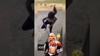 #GloRilla