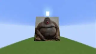 Monke